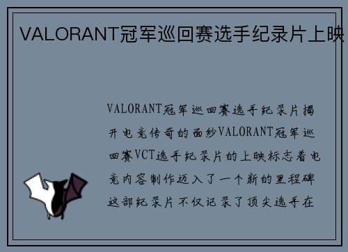 VALORANT冠军巡回赛选手纪录片上映