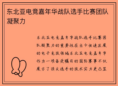 东北亚电竞嘉年华战队选手比赛团队凝聚力