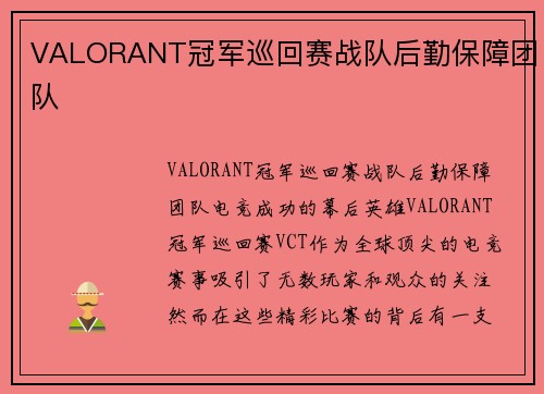 VALORANT冠军巡回赛战队后勤保障团队