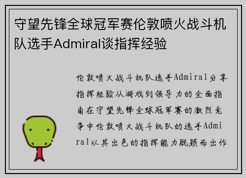 守望先锋全球冠军赛伦敦喷火战斗机队选手Admiral谈指挥经验